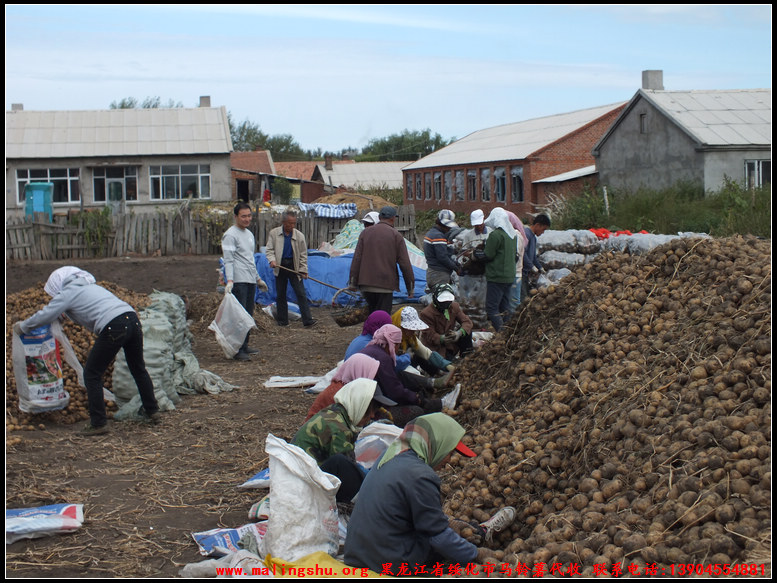 2011ѡƷͼ-01