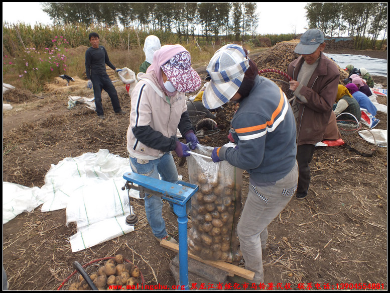 2011ѡƷͼ-06