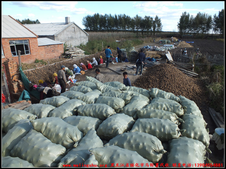 2011ѡƷͼ-08