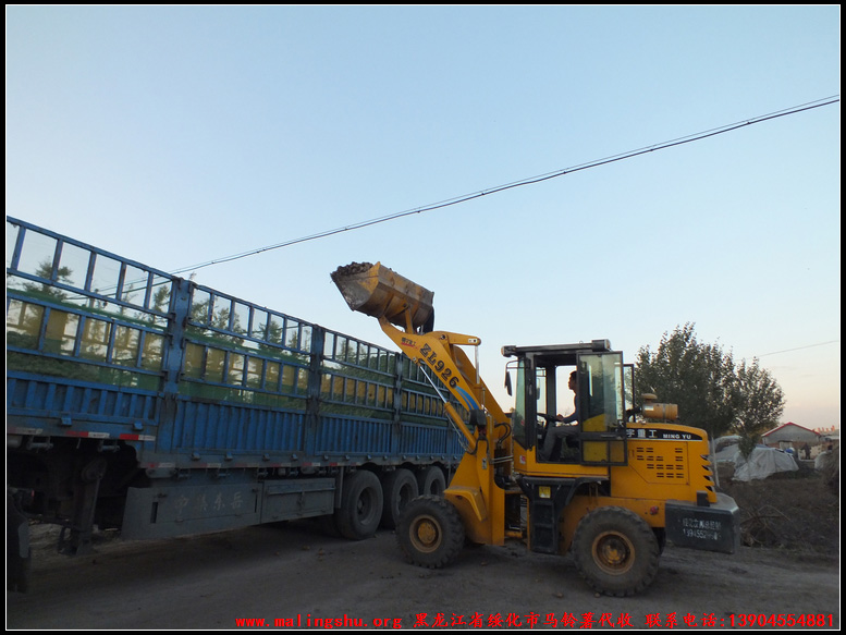 2012Ƶ۵Сװͼ-02
