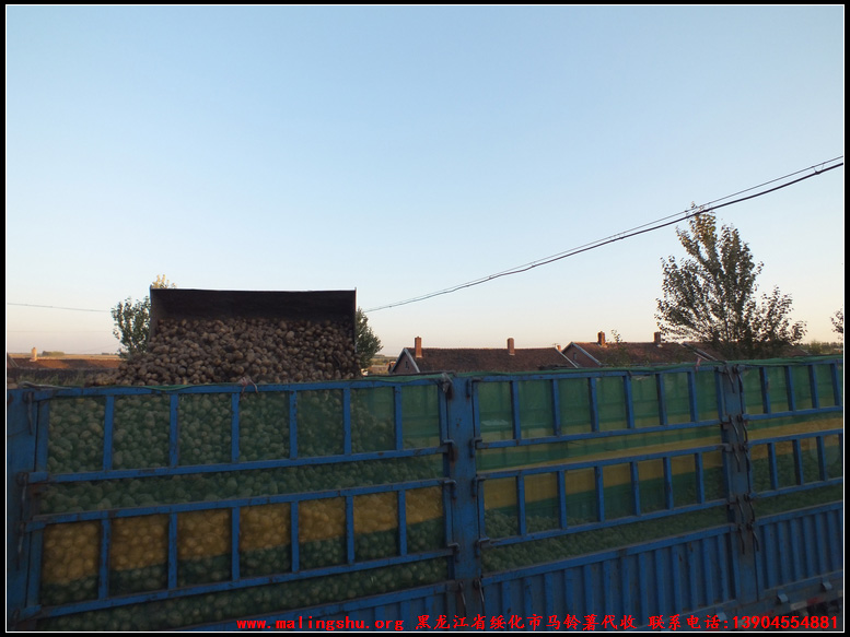 2012Ƶ۵Сװͼ-04