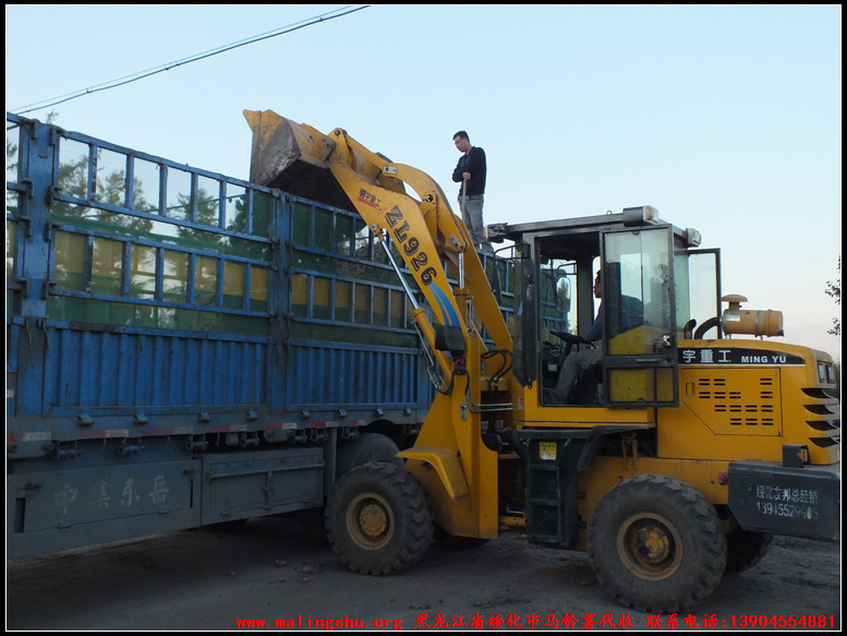 2012Ƶ۵Сװͼ-03