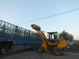 2012Ƶ۵Сװͼ-02