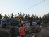 2012Ƶ۵Сװͼ-05